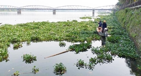 Kết hợp nhiều giải pháp làm sống lại các dòng sông
