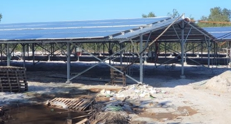 Tăng cường quản lý dự án xây dựng trang trại kết hợp điện mặt trời