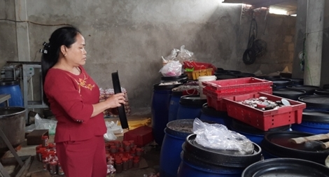 Tiêu hủy 600 tấn hải sản tồn kho sau 5 năm sự cố Formosa