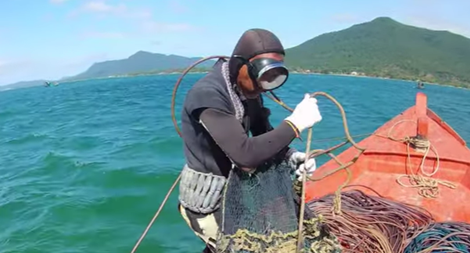 Những trái tim của biển