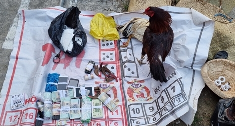 Triệt xóa tụ điểm đá gà nằm cạnh sông