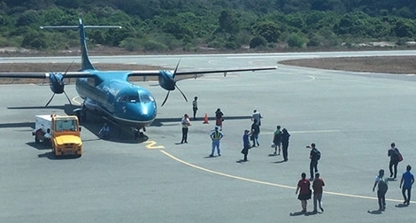 Chấm dứt ngay việc để động vật xâm nhập cảng hàng không