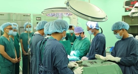 Những cuộc đời hồi sinh từ hiến tạng