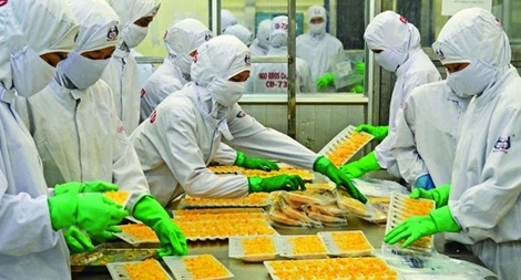 VASEP tiếp tục đề nghị không kiểm dịch với sản phẩm thủy sản chế biến