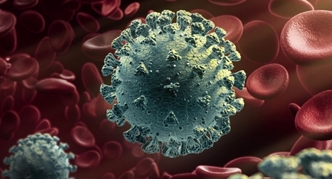 Những nghi ngờ mới về nguồn gốc đại dịch COVID-19