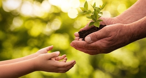 Hạnh phúc và khát vọng