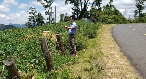 Kiểm tra dự án trồng rừng "mười cây chết bảy"