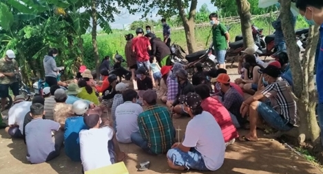 Bắt quả tang 32 đối tượng đá gà ăn tiền