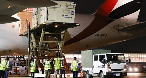 Chuyện hậu cần ở Olympic: Kỳ công và nhiều điều cười ra nước mắt