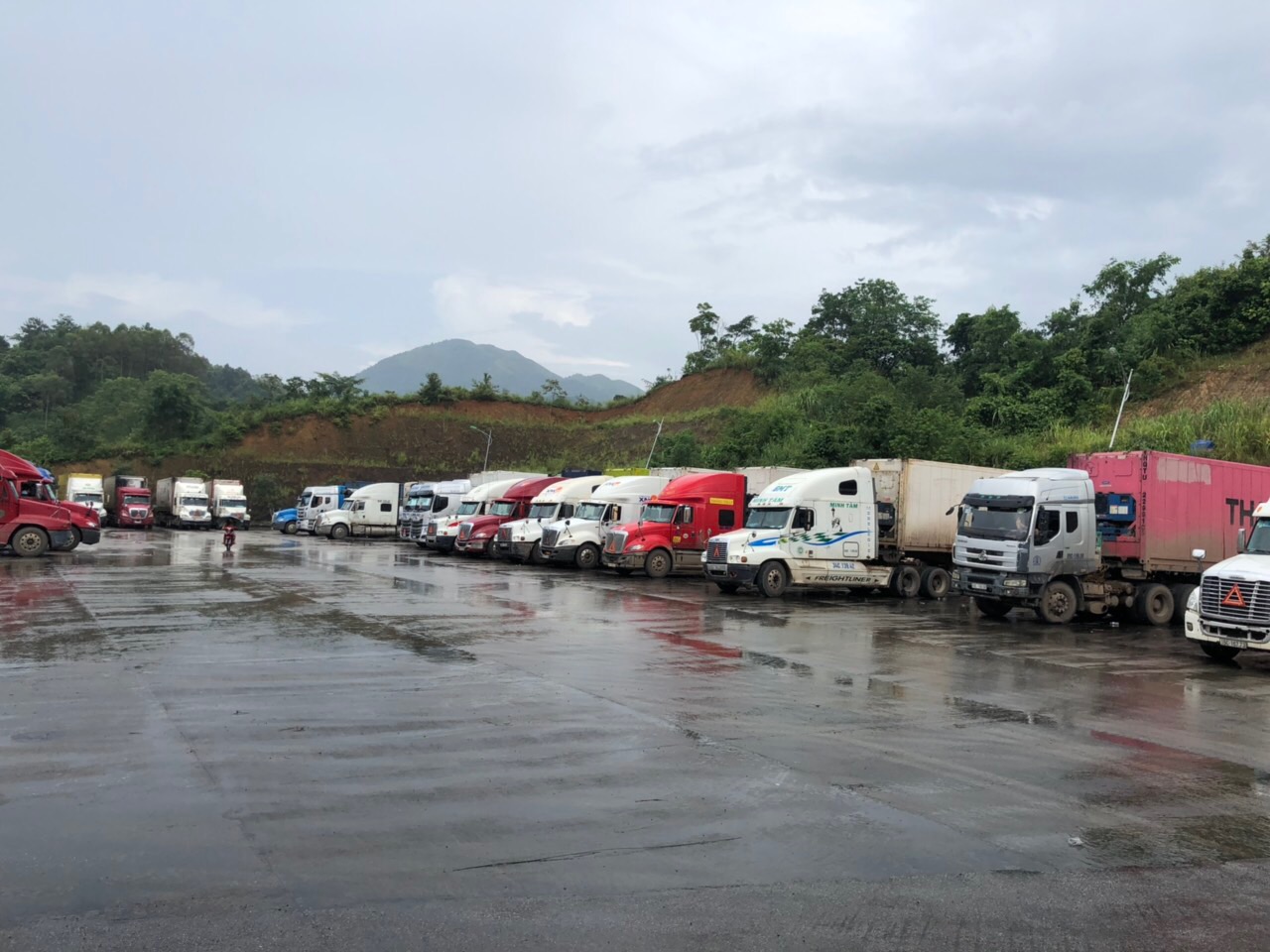 Chấp nhận cả 2 loại C/O mẫu E mới và cũ đến hết tháng 8