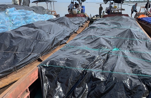 Gần nửa triệu bao thuốc lá, hàng chục tấn dược liệu nhập lậu bị bắt giữ