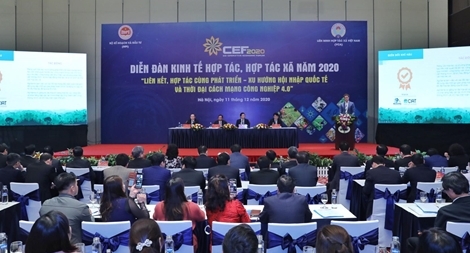 Tăng cường hỗ trợ, phát triển kinh tế tập thể