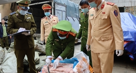 “Chặn” kịp thời 3,3 tấn nầm lợn đã lên nấm mốc 