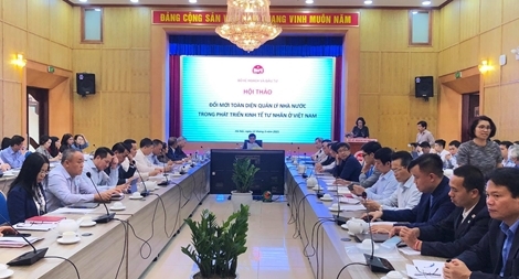 Tập trung phát triển kinh tế tư nhân tạo động lực phát triển kinh tế