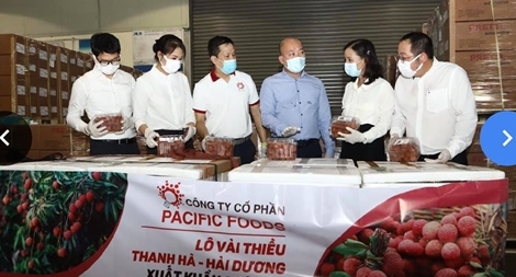 Vải thiều Việt Nam chính thức “chinh phục” thị trường EU