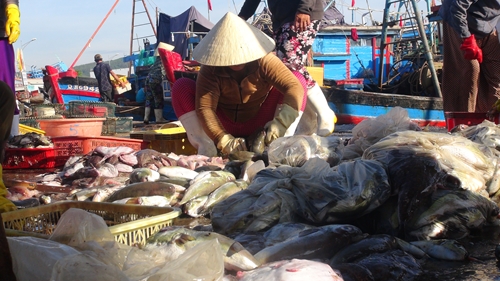 Rùng mình với món ăn “thần chết” được mua bán công khai