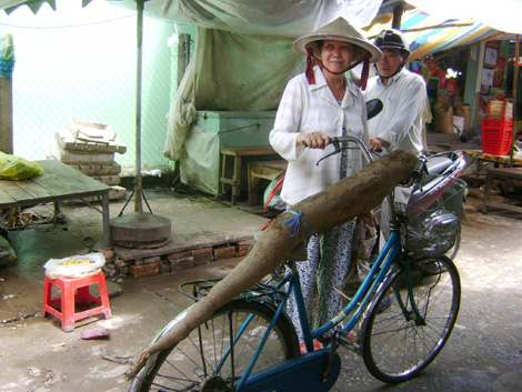 Củ khoai mì “siêu khủng” 