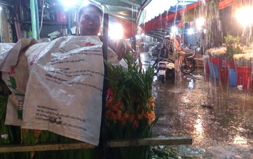 Chợ hoa Sài Gòn tả tơi bởi mưa lớn