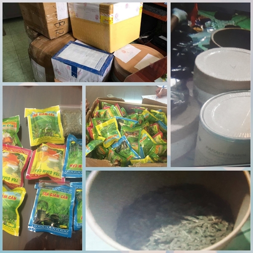 Gần tạ cần sa, cỏ Mỹ ngụy trang trong túi trà giảm cân