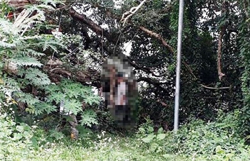 Để lại 3 lá thư tuyệt mệnh, chồng sát hại "vợ" rồi tự tử