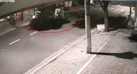 Trộm chó xịt hơi cay tấn công người truy đuổi