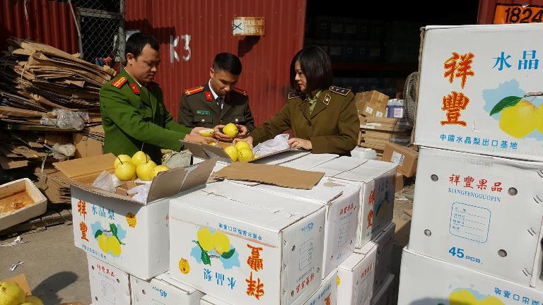 Thu giữ gần 4 tấn quả lê không rõ nguồn gốc