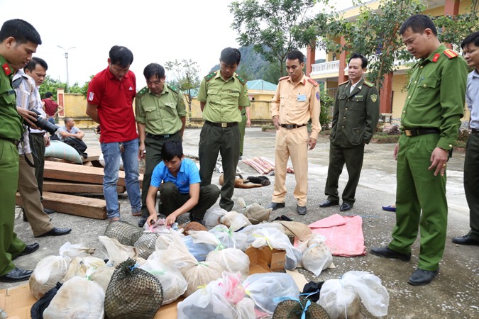 Phát hiện số lượng “khủng” động vật quý hiếm trên nóc xe