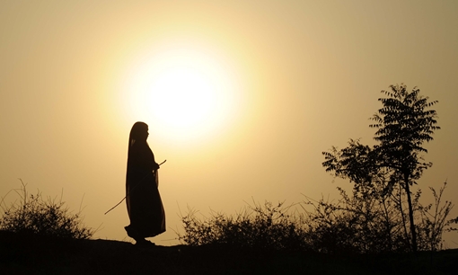 Năm 2016 được ghi nhận nóng nhất trong lịch sử