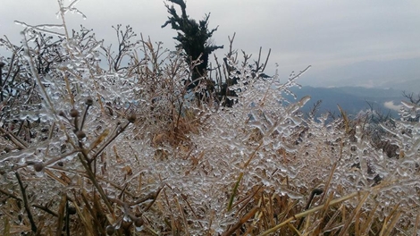 Khí lạnh tràn về, băng giá "bủa vây" núi cao ở Cao Bằng