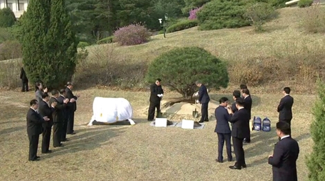 Điều đặc biệt của cây lưu niệm trồng tại cuộc gặp thượng đỉnh liên Triều