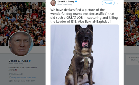 Ông Trump tuyên dương chú chó truy đuổi thủ lĩnh IS