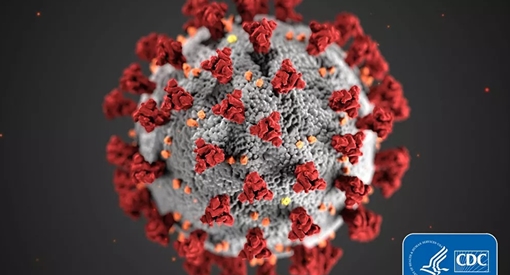 Phát hiện 40 biến thể của virus Corona 