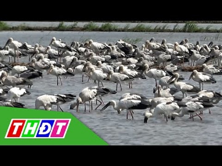 "Khi cò ốc trở về" đoạt Giải Việt Nam Xanh