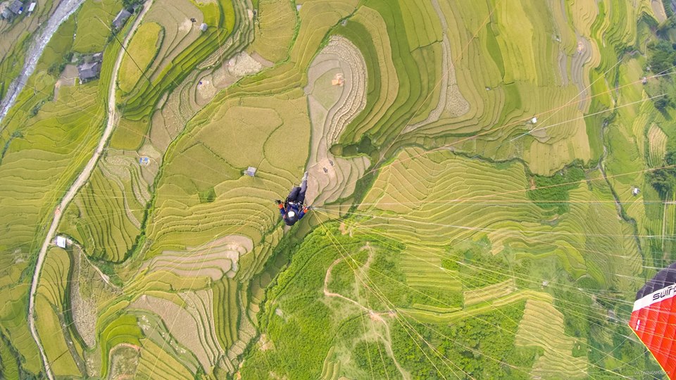 Ngắm ruộng bậc thang Mù Cang Chải mùa lúa chín từ trên... trời