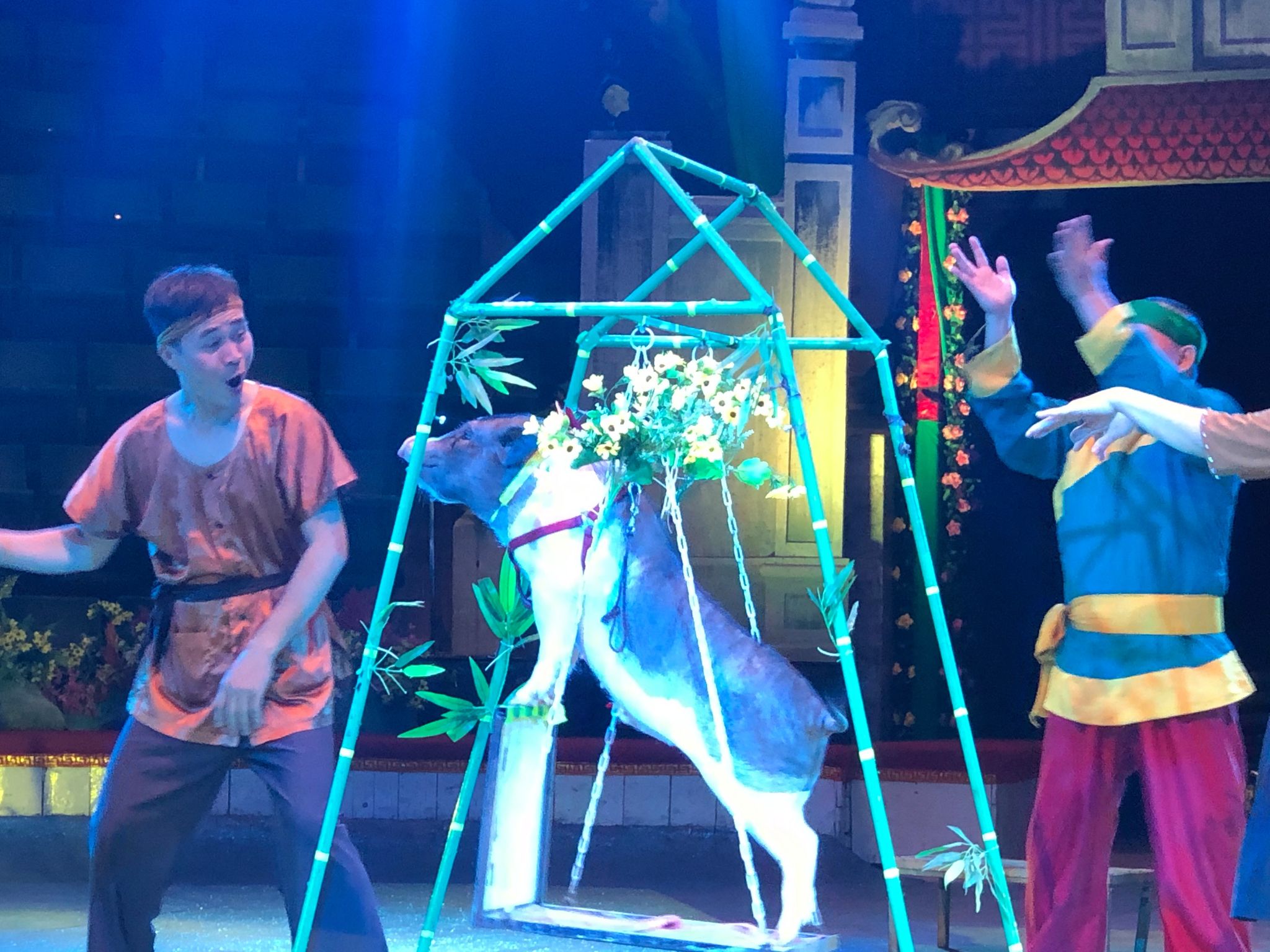 "Vẽ" thế giới cổ tích bằng ngôn ngữ xiếc với "Lời nguyền của Bà Tiên"