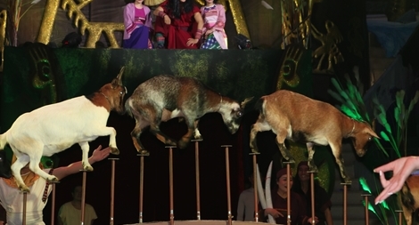 Kết hợp ca-kịch- xiếc để đổi mới, phát huy nghệ thuật truyền thống