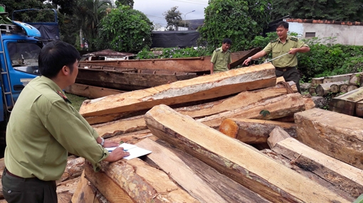 Khẩn trương điều tra, xử lý nghiêm đoàn xe vận chuyển gỗ trái phép