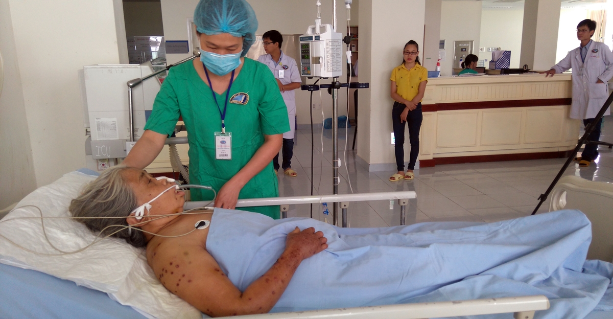 Cụ bà 79 tuổi thoát chết thần kỳ sau khi bị ong vò vẽ đốt 200 mũi