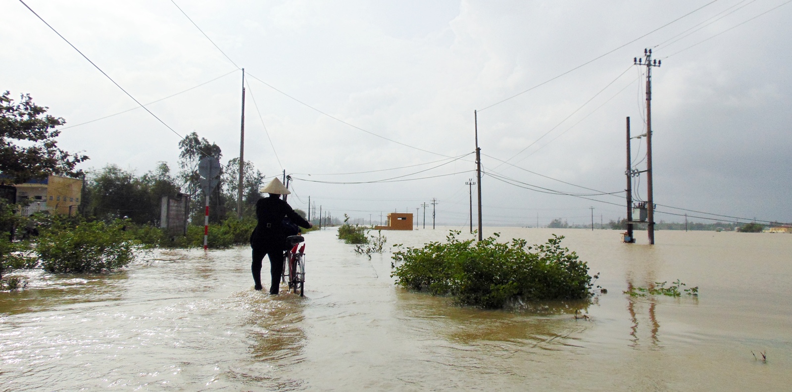Quảng Nam phát điện khẩn chống mưa mũ