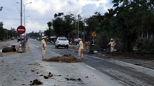 CSGT Quảng Nam dọn rác thông tuyến QL1A sau mưa lũ