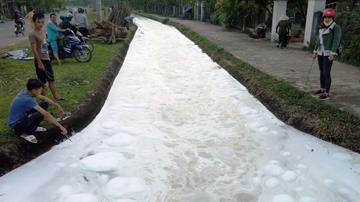Dòng kênh trắng như nước xà phòng, xác cá dạt đầy ven bờ