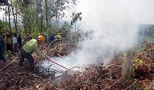 Quảng Nam nghiêm cấm việc đốt lửa trong rừng