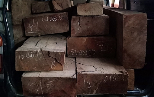 CSGT truy bắt ôtô chở gỗ lậu như phim hành động