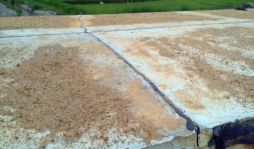 Đường đang thi công đã nứt gãy