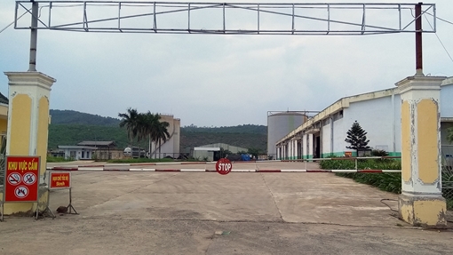 Xử lý dứt điểm sự cố môi trường tại Nhà máy cồn Đại Tân