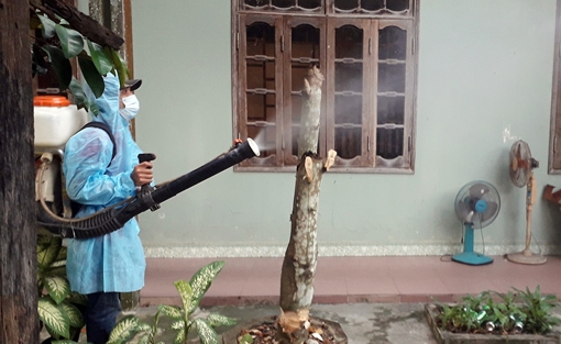 Quảng Nam triển khai nhiều giải pháp phòng chống bệnh SXH