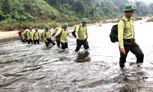 Hạt trưởng Kiểm lâm bị dọa giết qua sim 'rác'