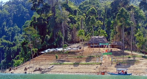 Chuyển hạng Khu bảo tồn thiên nhiên Sông Thanh thành Vườn quốc gia Sông Thanh