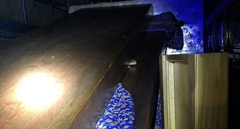 Trên đường chở gỗ lậu đi tiêu thụ thì gặp CSGT