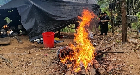 Truy quét “vàng tặc” giữa mùa COVID-19